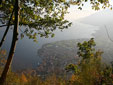 kastanien-wald113.jpg