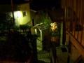 casarina-by-night-01.jpg