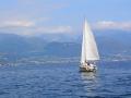 comersee-segelboote-1.jpg